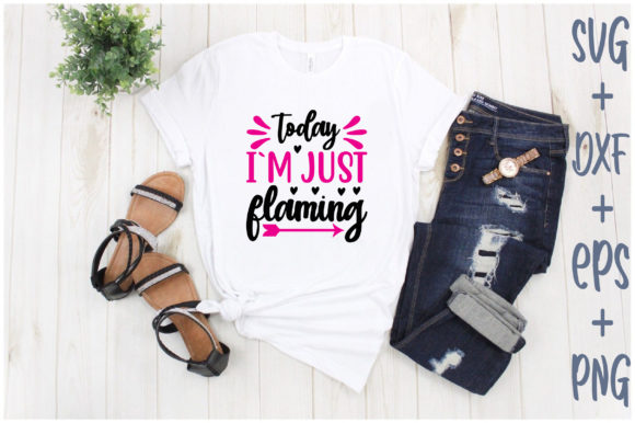 Today I m Just Flaming: T-Shirt Graphics & Design